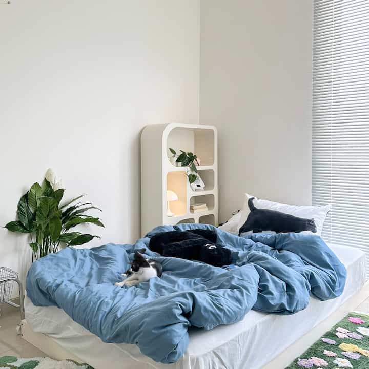 Story Behind My Room🍃

Jadi berawal saat aku mulai bekerja luar kota akhirnya aku memutuskan untuk beli rumah dekat kantor supaya jarak tempuh jauh lebih dekat~

Hingga akhirnya kebeli rumah yang saat ini aku tinggali dan aku sangat suka menghabiskan waktu luang dengan hobbyku yaitu baca buku, playing music dll 🍃

Awalnya aku mulai ngonten di area ruang tamu, dapur dan kamar mandi. Tetapi menurutku rumah yang aku tinggali saat ini tipe cluster sehingga sangat minim cahaya 👀

Oleh karena itu aku putuskan untuk konsisten dengan hobbyku tersebut dan fokus di one room yaitu kamar tidurku karena jendelanya cukup besar jadi penerangan sangat cukup untuk bikin konten~

Sejak aku menempati ruangan ini, banyak sekali perubahan dari suasana dekor serba pastel-vintage hingga jadi lebih minimalis dan banyak koleksi tanaman.

Bagiku saat ini dekor yang aku pilih sangat personal dan sesuai dengan karakterku, jadi aku sangat bersyukur berada dititik telah menemukan JATI DIRI ✨✨

Ya, karena JATI DIRI merupakan pondasi dalam berkarakter supaya ada perbedaan dari individu satu dengan individu lainnya~

Semoga menginpirasi! 

#MiniHouseTour
#CeritaRumahku
#SpreiEstetik
#KarpetEstetik
#LampuEstetik
#DipanEstetik


