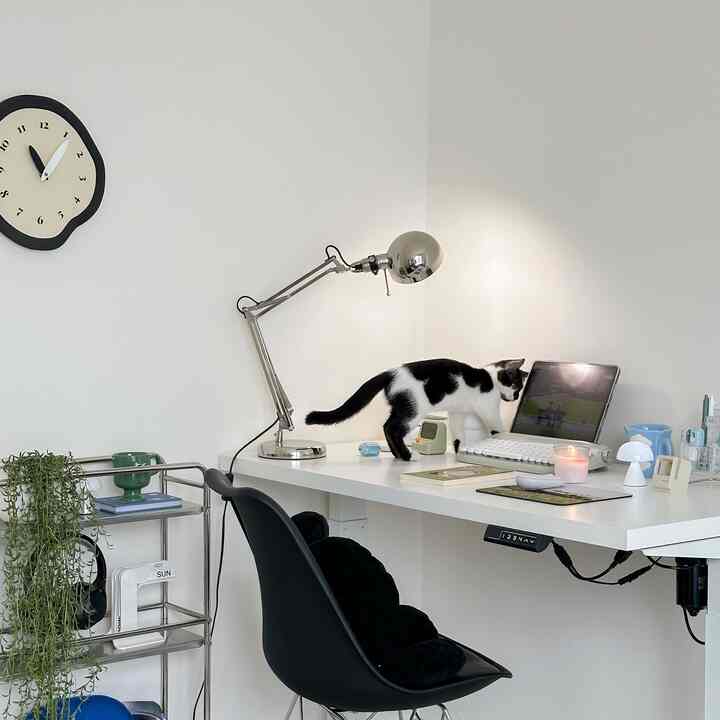 White and gray toned home office space featuring a desk with a cat, creating a clean working environment