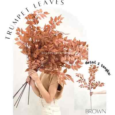 TRUMPET LEAVES GRASS DAUN JUNTAI