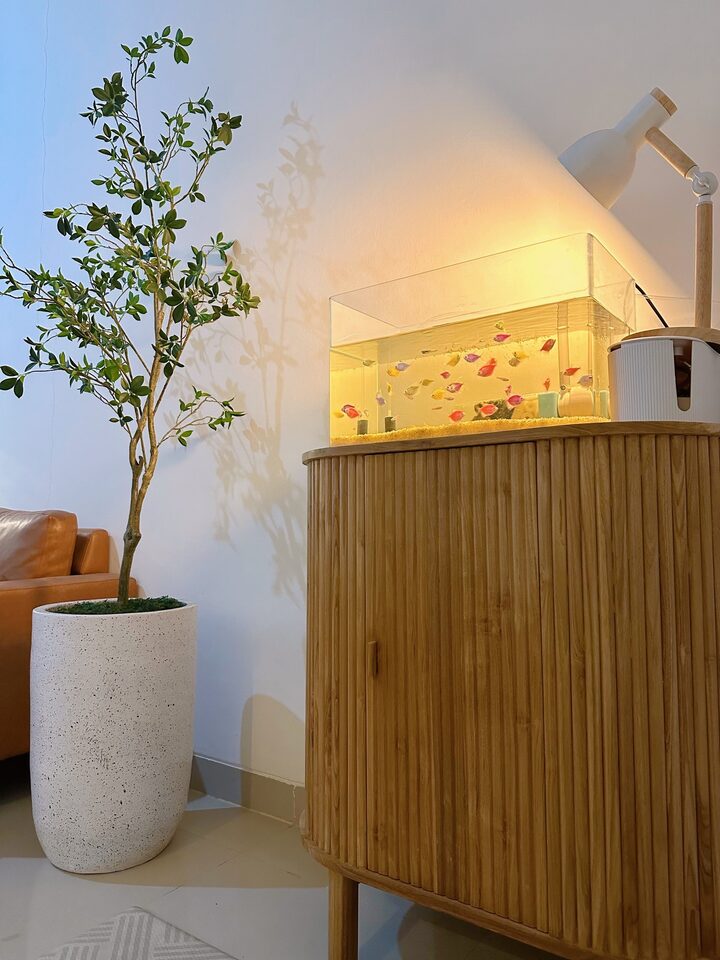 short form carousel card thumbnail