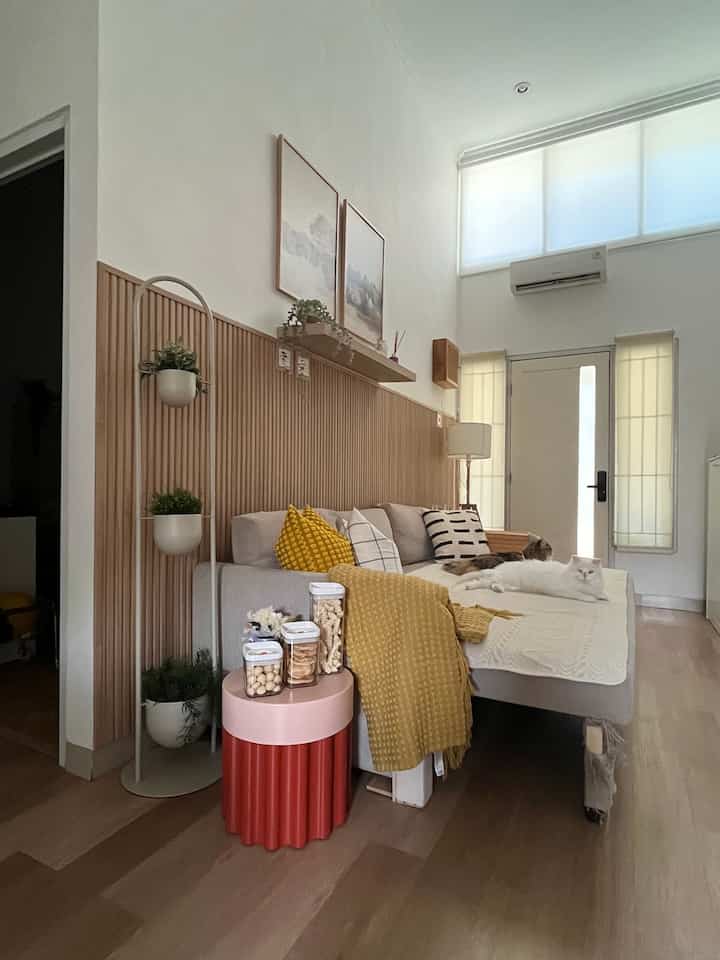 A modern living room with yellow and beige tones featuring a sofa and two cats creating a cozy atmosphere
