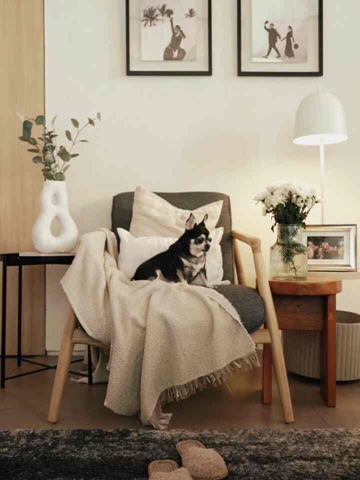 Beige and dark gray toned living room with an armchair featuring a seated dog, floor lamp, plant, and side table in a natural atmosphere