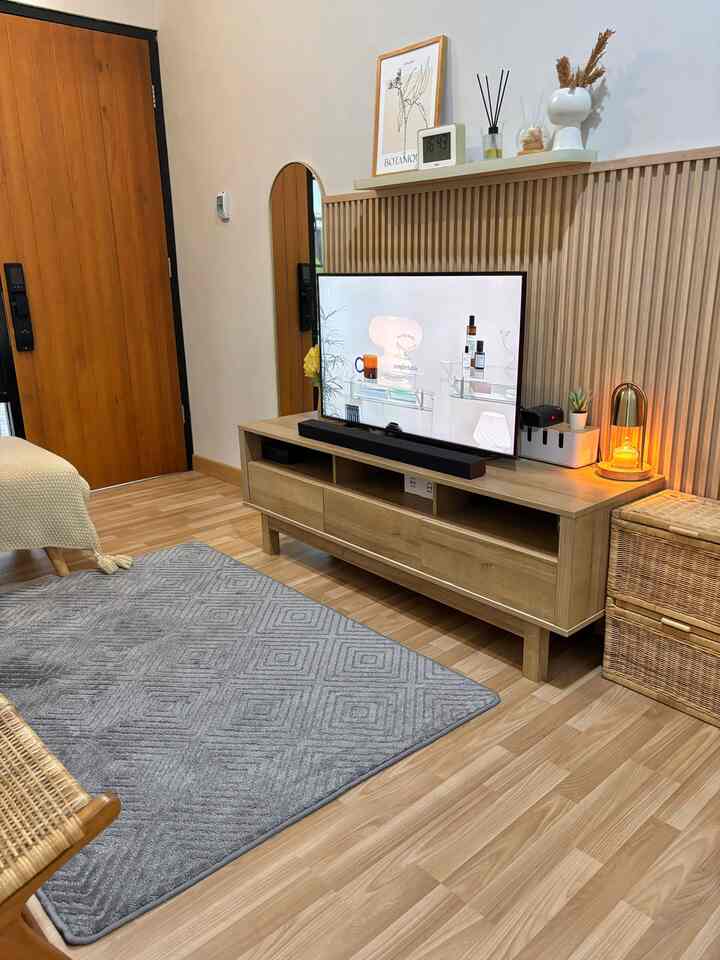 Natural brown toned living room featuring a TV stand and gray rug with a modern and clean atmosphere