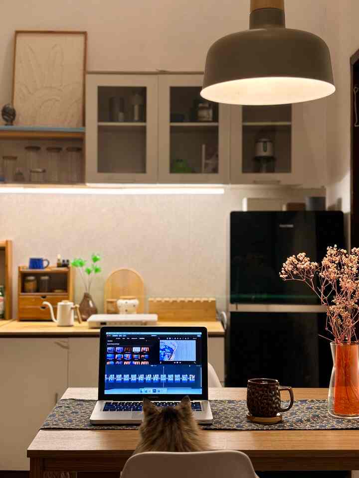Warm wood tones in a bright combined kitchen and living room workspace featuring a cat at the dining table