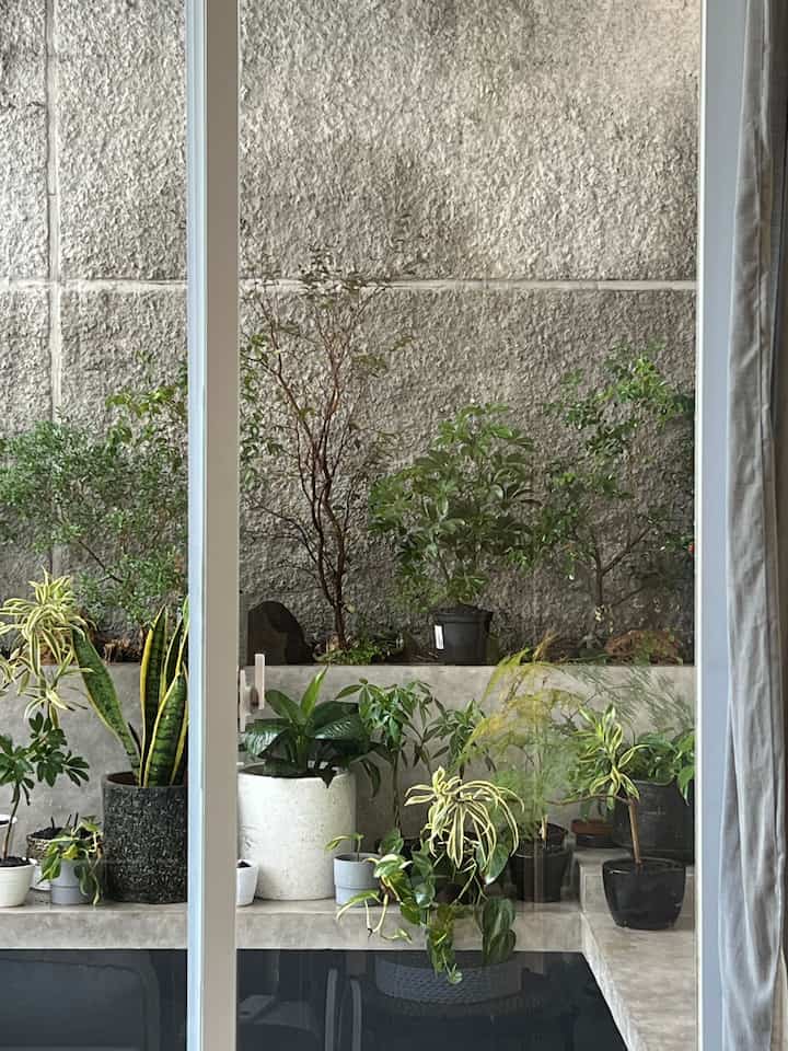 Cahaya yang Melimpah.

Alasan kami memilih rumah ini adalah rumah ini disinari cahaya yang melimpah. Bisa dibilang rumah kami berada di hook. Dimana setiap harinya, rumah kami selalu disinari matahari pagi, siang, dan juga sore. Itulah sebabnya kami memilih rumah ini karena memiliki sirkulasi udara yang baik dan sehat dimana setiap ruangan kami mendapatkan cahaya matahari.

#MiniHouseTour #CeritaRumahku #JapandiHome #JapandiIdeas #Japandi #JapandiRoom #SirkulasiUdara