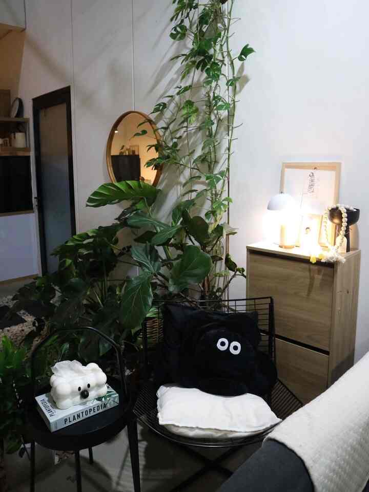 Hai haii selamat malam dari casaaksadaru. 
Ini adalah salah satu Sudut favorit di rumah kami. Tempat santai untuk tea afternoon, ngopi, ataupun baca buku. Sambil menikmati cahaya skylight dan tanaman2 ijo di indoor garden. Beberapa item dekorasi terpajang rapi disini. Ada lampu meja, wall art, lilin, dan pajangan2 rumah. Semoga bisa menginspirasi ya 

#MyHouseInspiration
#TableLamp
#LazyDuckLamp
#whiteCandle
#WallArt
#KursiSantai
#coffeeTable
#TanamanIjo
#IndoorGarden
#Casaaksadaru