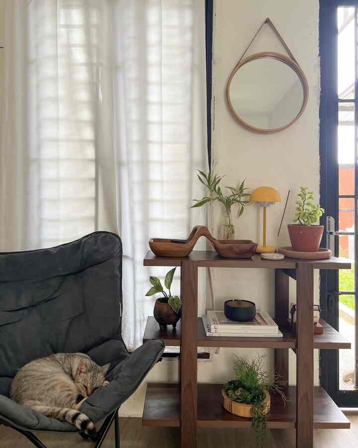 Natural wood tone small reading corner featuring a black folding armchair with a sleeping cat, wooden bookshelf, round mirror, and plants creating a cozy, simple atmosphere