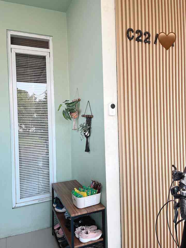 Small entrance space with mint walls and wood-toned door, featuring a shoe rack and hanging plants, creating a practical cozy interior