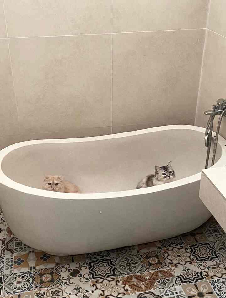 memadukan warna warm tone dan cool tone melalui material dan hardware di kamar mandi. kami memutuskan untuk menggunakan keramik lantai dan dinding dengan tone hangat dan hardware seperti keran, shower, wastafel  ber-tone dingin. #keramikkamarmandi #bathtubteraso #KamarMandiMinimalis #InspirasiKamarMandi 