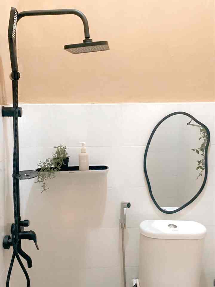 Compact bathroom with white tiled walls and brown upper wall, featuring black shower fixtures, an irregular mirror, and a trailing plant, creating a clean atmosphere