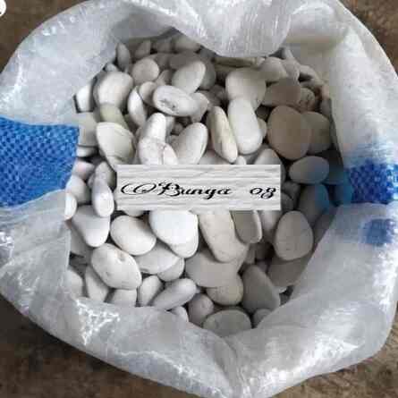 BATU KORAL PUTIH KECIL 10KG