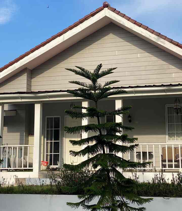 sering kali ditanya “jadi ini rumahnya dari kayu ya?” tentu jawabannya tidak, aksen ini hanya menggunakan papan GRC yang di cat sehingga dinding tidak tampak polos. Jangan lupa dipadu dengan lampu gantung dan lampu dinding. #GRCBoardDinding #DindingRumah #InspirasiFasad #StyleFasad 