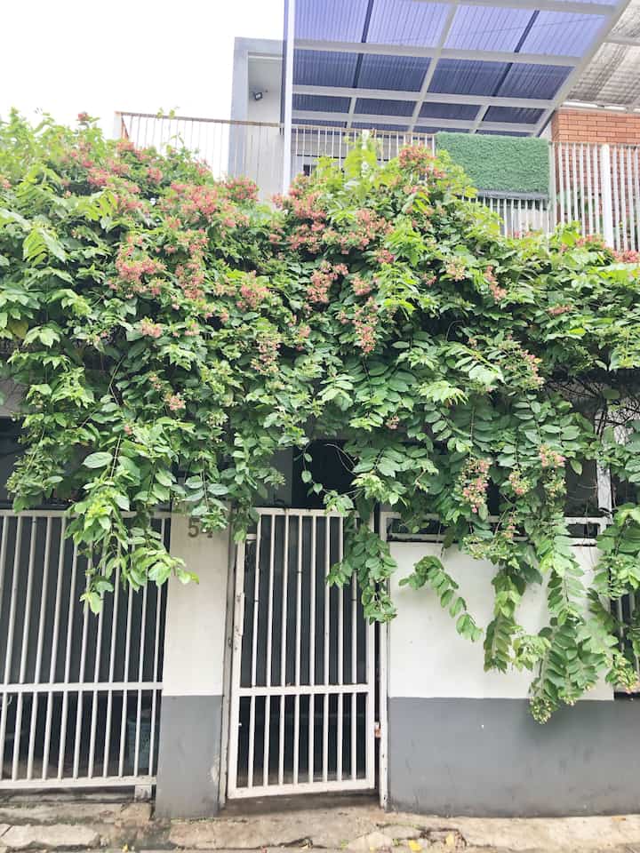 si rumah no 54 dengan ciri khas fasad rumah, bunga melati belanda yang berbunga sepanjang waktu yang bikin teras kami wangi sepanjang hari.

Rumah ini khas rumah jadul, kalau fasad di makeover, kami yang nggak siap 😁 Uniknya, ‘Rumah pagar putih dengan Melati Belanda Rimbun’ - jadi andalan untuk landmark warga sekitar 😄

Sesungguhnya, kami suka rumah terbuka, tapi penggunaan pagar tampaknya tak bisa dihindari. Canopy untuk carport, lebih untuk proteksi kendaraan.

Gimana, mampir yuk!

#InspirasiFasad #StyleFasad #sofacover #catjotuneksterior #bataekspose #pagarminimalis #solartuffpolicarbonat