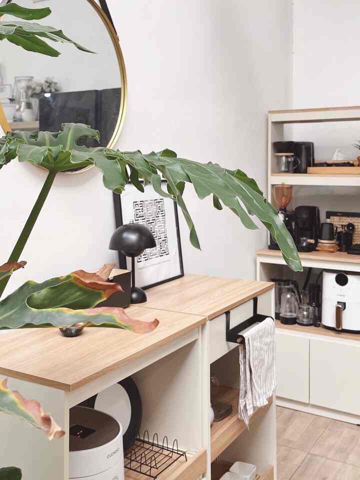 ✨ Coffee Corner 

Akhirnya kami memutuskan untuk menata ulang area coffee corner. Kami pindahkan ke samping kulkas karena kebetulan kami menemukan lemari yang ukurannya pas. 

Kami juga mengganti lemari dapur karena lemari sebelumnya sudah lapuk. Nanti kita bahas dekorasinya ya. 
Kalo sekarang kami masih fokus mendekor area tempat kopi ini,kami berharap meskipun ukurannya kecil tetapi bisa fungsional dalam menampung peralatan kopi kami. Kami mendekor sudut ini dengan nuansa hitam dari peralatan kopi yang digabungkan dengan aksen kayu & tanaman artificial. 

#coffeecorner #lemaridapur #peralatankopi #grinder #coffeemachine #tanamanartificial #dekorasikayu #woodentray #coffeearea 
