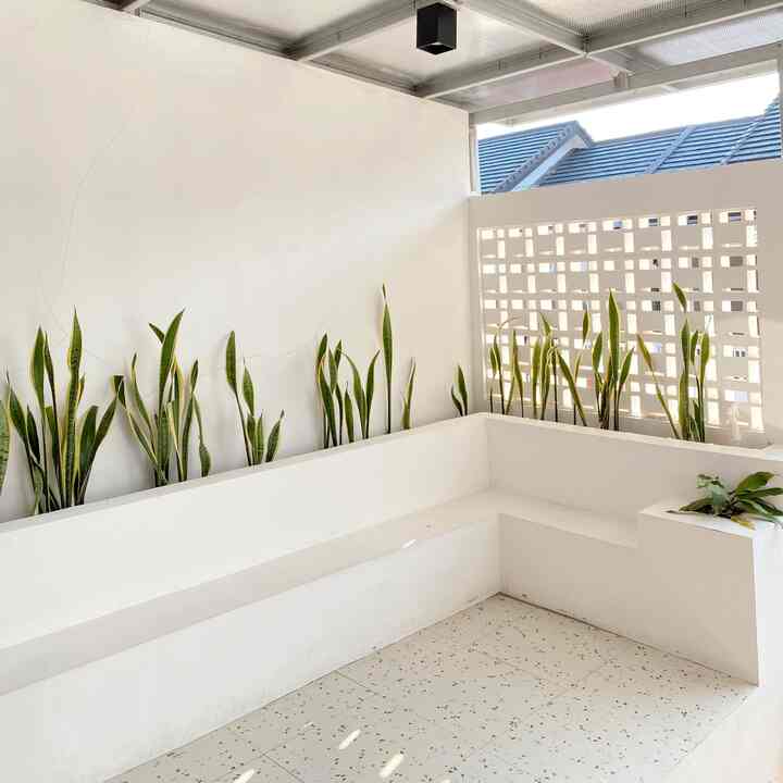 Area teras ini adalah tempat favoritku dgn keluarga. Biasanya kami berkumpul disini hanya untuk sekedar ngopi bareng dan bermain bersama anak anak. 
Di area halaman ini, aku sengaja tambahkan tanaman yaitu Lidah mertua, agar terlihat lebih hidup. 
Untuk dindingnya pun aku pakai roster, agar tetap ada cahaya matahari masuk ke halaman✨


Semoga menginspirasi🤗🩵


#homedecor #halamanrumah #rumahminimalis #roster #catRumah #Lampukanopi #granit #Lantai #sudutfavorit #dekorasihalamanrumah #dekorasirumah #inspirasiterasRumah