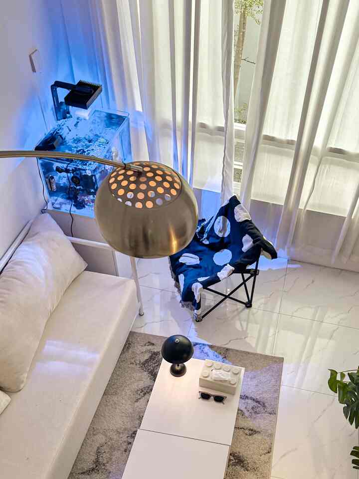 Small Living Room 🤍
-
Ukuran Ruangan Keluarga kurang lebih 3x3 meter , untuk menciptakan kenyamanan kita dekor sesuai tema Minimalis , kita gunakan kursi lipat agar mudah untuk dipindah” , Aquarium untuk ikan hias air laut biar gak bosen dirumah karena ikannya warna warni dan biotanya unik” , TV ukuran 50” dan ditempel dinding agar nampak lebih luas 
-

#livingroom #rumahminimalis #minimalis #home #lantairumah #coffeetable #lampubaca #standinglamp #kursilipat #vitraseputih #catdinding #mejaaquarium #aquariumbending #angkahouse