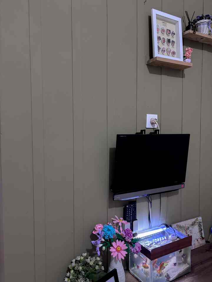 sukaaa sekali sm cat baru kuu! 
#backdroptv #livingroom #ruangtv #ruangkeluarga #hijausage #hijau 
