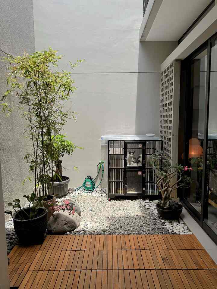 Selamat datang di inner courtyard atau taman dalam dirumah kami 🤗🍀
Untuk taman bagian dalam ini, kami memutuskan untuk membuat taman kering agar lebih mudah dirawat.
Dengan menggunakan batu split yang disebar diatas area permukaan taman dan juga ditambah dengan wood decking, maka nuansa untuk tema taman kering sudah bisa didapatkan. Berkaitannya dengan tanamannya sendiri, kami memutuskan untuk menanam tanaman didalam pot saja, yang ditaruh disudut-sudut tertentu agar tidak memenuhi taman.
Oh, ya khusus di area taman ini, kami juga menyimpan rumah untuk kucing kami 🤗

#tamankering #wooddecking #wooddeck #kursimalas #kursiikea #kandangkucing #rumahkucing