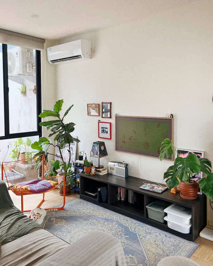 Yang ijo-ijo memang bikin rumah terasa lebih "hidup", setuju?
Meskipun rada susah dijaga karena sering jadi korban kenakalan para anabul, tapi rasanya ngga lengkap kalau belum ada tanaman hias di rumah. Selain mempercantik ruangan, bentuk-bentuk daun dan batang yang seringkali tumbuh secara unpredictable juga menambah karakter di rumah ini 🌱
#Houseplants #Tanamanhias #Tanamanindoor #Tanamandekorasi #TanamanDeco #IndoorPlants