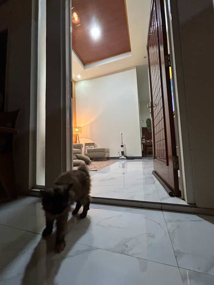 Living Room di malam hari ✨🌙

Biasanya kami sering mematikan lampu plafon dan hanya menyalakan standing lamp dan lampu led TV saja ketika kami sedang menonton TV. Karena bikin suasana makin homey dan tidak terlalu terang.

#SofaMinimalis #KitchenSet #KitchensetMinimalis #PlafonPVC #WarnaCatRumah #WallpaperDinding #WallpaperEstetik #Cat #RumahOpenSpace #RumahTanpaSekat #NightVibe #RuanganTerbatas #LivingRoomMungil #RakTv #BackdropTV #PVC #Wallpanel #Rakambalan