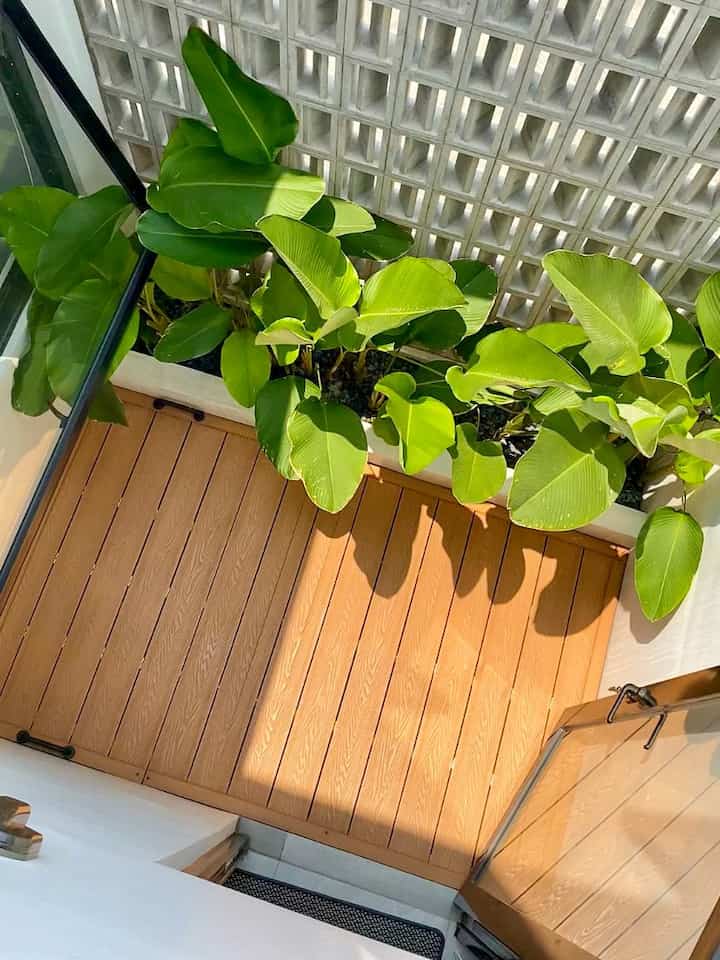 Inner court ✨

Saat renovasi, kami ingin sekali memiliki taman dalam rumah meski di area yang tidak begitu luas. Lahan ini hanya 2x3 meter. Dan atapnya sengaja dibuat terbuka karena tujuannya menjadi salah satu solusi cross ventilation bisa ada di rumah kami saat ini. Sirkulasi udara jadi lebih baik dan pencahayaan juga sangat cukup di dalam rumah.

Dibuat menjadi taman kering minimalis agar low maintenance. Box planter yang cukup di pinggirnya dengan 1 jenis tanaman saja. Dinding roster dengan motif minimalis. Lalu lantainya kami memutuskan untuk memakai WPC Decking di taman ini, karena lebih tahan terhadap cuaca & durability nya cukup tinggi.

#InspirasiTamanMinimalis #TamanDalamRumah #TamanKeringMinimalis #Innercourtyard #RumahMinimalis #RumahJapandi #JapandiIndustrial 