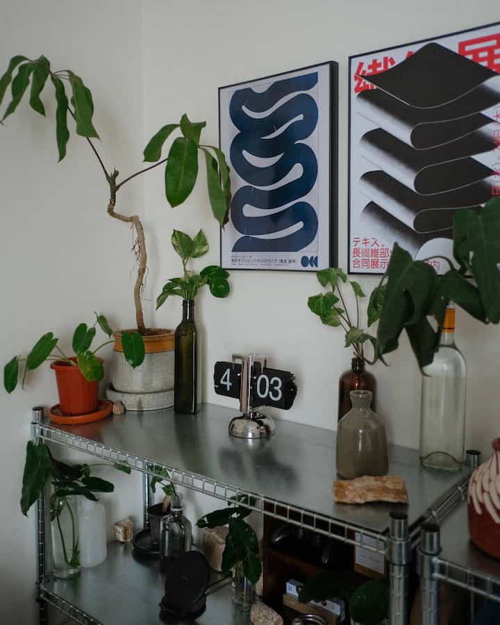 A whole mini jungle in my kost bedroom 🍃 #RakBesi #JamAnalogEstetik #BotolKaca #PotTerakota #KostEstetik #HomedecorKost 