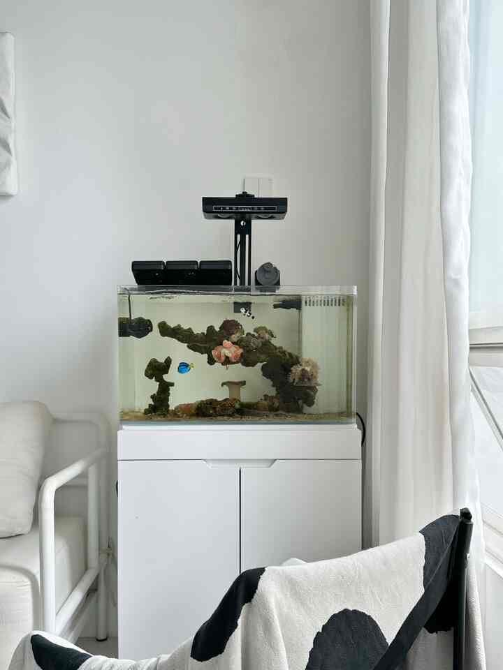 Furniture Ramah Anak 👶

01 Aquarium Bending 
aquarium dengan sudut mengengkung , ramah anak sekali , ketika anak kecil melihat disisi samping tidak terlena serpihan kaca

02 Besi Bulat Sofa
besi ini sengaja di custom melengkung untuk memperlihatkan estetika bentuk selain itu ramah anak 

03 Kursi Lipat 
kursi yang mudah dipindah”kan juga bisa menjadi pilihan ramah anak karena tidak akan terjatuh dari atas ( samping kanan kiri ada penghalang dan cukup kokoh

04 Karpet Anti Slip
karpet di ruang tengah harus pakai yang anti slip karena biasanya tidak hanya anak kecil yg lewat jadi untuk keselamatan bersaka kita pilih yg anti slip 

05 Keset Anti Slip
walaupun hanya keset ini sangat penting untuk keselamatan bersama , selain estetik dengan bentuk desainnya , kita pilih yang ada anti slip dibawahnya
-
Beberapa benda di rumah yang bisa untuk pilih ramah anak 👶 


#RumahRamahAnak #MaterialRamahAnak #FurniturRamahAnak #AquariumRamahAnak #KursiRamahAnak #KarpetAntiSlip #KesetAntiSlip #KursiSemen #RumahMinimalis #AngkaHouse
