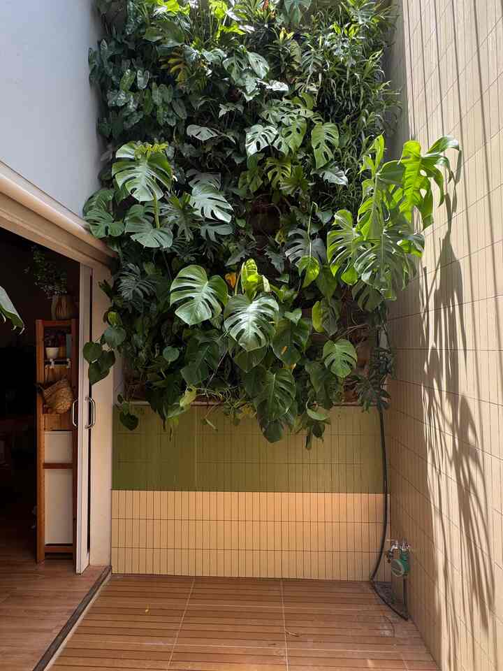 Void di tengah rumah yang baru aja di renov.
Penggunaan keramik di dinding agar ga muncul retak rambut, menutup tembok bergelombang dan cat yang terus2an kotor soalnya memang area outdoor yang masuk ujan.

Keramik dinding menggunakan Granit AIGA 30x60 warna metta beige dan metta moss dengan nat demix warna mocha brown.

Untuk lantai menggunakan keramik atena tiles, espana wood warna light crema ukuran 30x60.


#void #verticalgarden #drygarden #areaterbuka #areasantai #pencahayaanalami #rumahdeveloper #tamanmini 