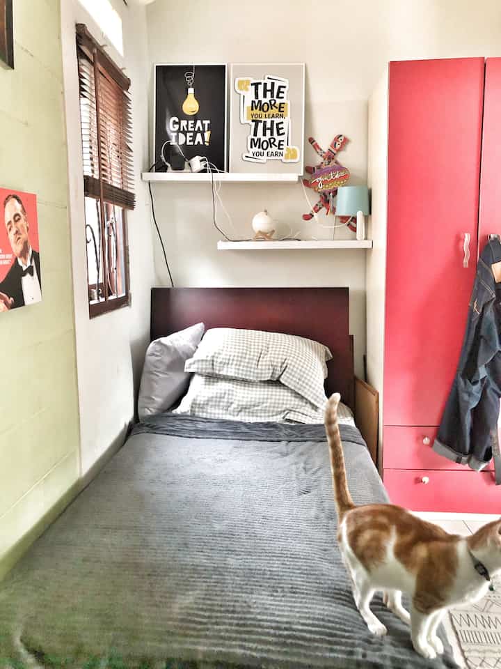 Let's take a room tour to the bedroom of a bachelor 😄 who tidies up his own room. The size is quite spacious with large windows that save energy. 

Also spill the storage side 😂 as wide as the wall is used for storage. Open, so as to try to stay neat. 

The use of blankets, effectively gives a neat impression faster

#teen bedroom #rug #catdinding #lemari #mejabelajar #gamechair #blind #blanket #ambalan #inspirasikamartidur #lamputidur #reefdifuser