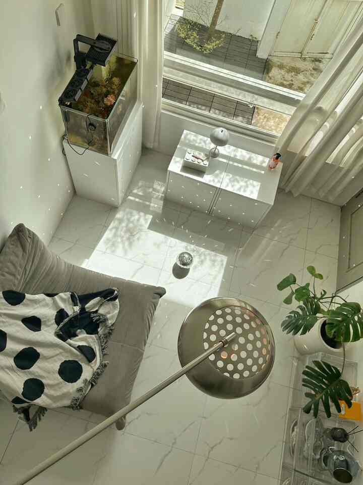 Rumah terlihat mewah dengan budget seadanya, ini Tipsnya 👇✨

✨ Pilih warna natural untuk dinding agar nampak classy seperti warna putih
✨ Pilih lantai motif seperti marmer menambah kesan mewah dan low maintaincw
✨ Gunakan hiasan dinding yang tidak banyak warna seperti mengandalkan texture seperti ala karya museum
✨ Pilih gorden warna natural dan pasang sampai ujung plafon untuk menambah kesan seperti gorden di hotel
✨ Pilih lampu berbahan kokoh seperti stainless yang anti karat dan awet 
✨ Tambah dekorasi kecil seperti discoball untuk memberikan kesan fancy 

Sudah siap untuk upgrade rumah kamu? yuk share juga dekorasi yang bikin rumah nampak mewah 🫶 


#ElegantOnBudget #DesainRumahElegant #SederhanaMewah #CatRumahMewah #CatRuangTamuMewah #WallpaperEstetik #SofaMinimalis #StandingLamp #TiraiMewah