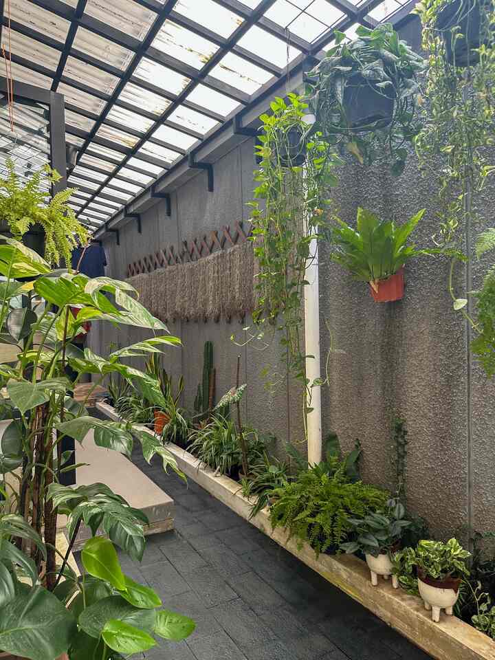 Merubah suasana area taman belakang ga harus mahal. Cukup dengan sekaleng cat Propan Stonekote 1 kg warna black doff seharga 80ribu, area taman belakangku seperti baru direnovasi dan bikin vibesnya jadi lebih asri dan adem

Slide 1,2 after photo
Slide 3,4 before photo

#elegantonbudget
#designrumahelegant
#sederhanamewah
#batualam
#propan