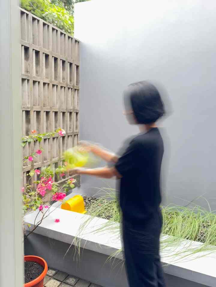 Taman segaris yg sering dijadikan spot nongkrong, jika ada tamu yg datang. Karena kami memang tidak menyediakan ruang tamu, jadi disinilah spot menerima tamu, sekaligus menanam tanaman kami.

#TamanSegaris #InspirasiTamanKecil #BenchBeton