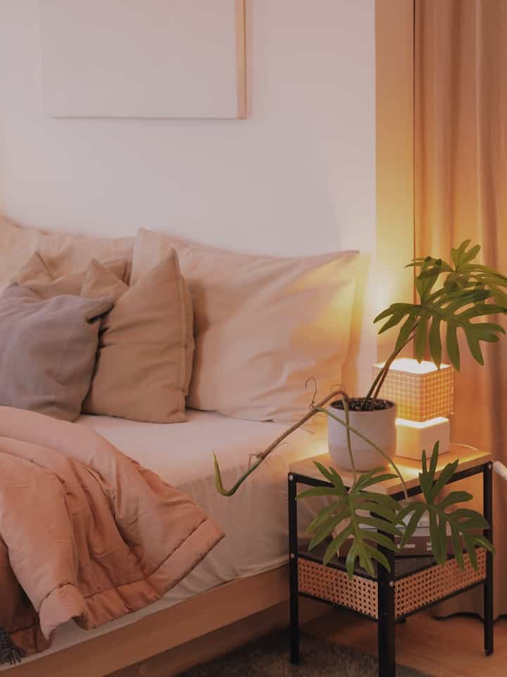 Elegant on Budget versi Casadirio.

Kami menggunakan furniture dan juga dekorasi yang harganya termasuk affordable tp tetap terlihat estetik, seperti
- Nakas IKEA yang kami beli harganya sekitar 150rb, agar terlihat lebih estetik kami diy dekorasi dengan rotan dan juga papan kayu agar sesuai dengan tema rumah kami yaitu Japandi.
- Papan HPL yang kami lapisi kertasive semen expose, kami buat sebagai wallpaper yang dapat kami pindah2 kan sesuai dengan kebutuhan kami.
- untuk wallpaper yang kami pakai di background kamar kami, kami hanya menggunakan kanvas polos. Kenapa kami memilih kanvas polos, karena terkesan minimalis dan kami hanya membutuhkan tekstur dari kanvas polos tsb.
- jangan lupa menambahkan tanaman agar rumah kamu lebih hidup.
- gunakan lampu led untuk lampu utama ruangan kamu agar nuansa vibesnya dapat diubah sesuai dengan mood yang kamu mau.

Semoga menginspirasi ya :)

#CatRumahMewah #CatRuangTamuMewah #SPC
#WallpaperEstetik
#LampuLED #ElegantOnBudget #DesainRumahElegant #SederhanaMewah