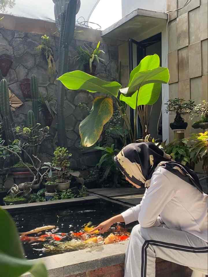 One of my favorite corners at home
That is playing with Koi Fish while looking at the green plants.

One of the simple things but can relieve stress instantly.

#gardening #GardenLandscape #KoiPond #HomeGarden #GardeningInspiration #DesainTaman #TamanDepan