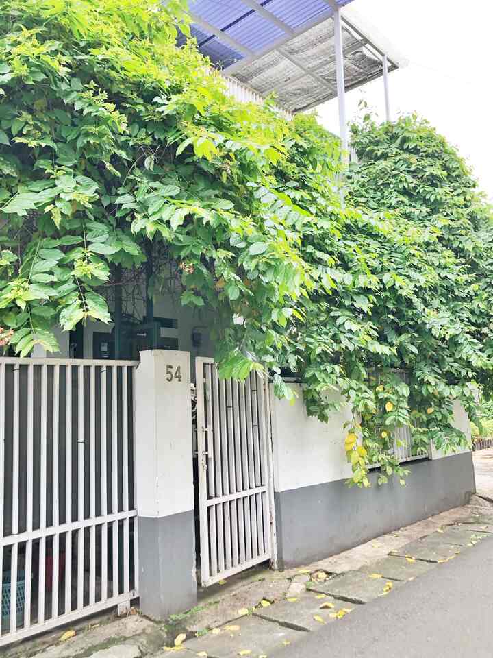 Menemukan rumah ini adalah perjalanan panjang motoran setiap weekend cari rumah yang pas 😊 kami ingin rumah yang dekat kemana-mana, mudah menjangkau fasilitas umum. Ketika jumpa, langsung jatuh hati, terbayang mau dikutak kutik seperti apa untuk menjadikannya ‘House’ yang ‘homy’

Aslinya, banyak kamar-kamar berukuran kecil. Sebagian besar kami bongkar, dan rubah fungsi. Termasuk garasi yang dijadikan kamar tidur si gadis, dan menjadi menjadi ruang diluar sebagai carport terbuka.

Lantai dua yang kami bangun saat pandemi untuk ruang kerja, menjadi tempat favorit yang multi fungsi.

Sekarang, rumah ini nyaman buat kami. Hijau, terang, terkesan luas, ramah tanaman dan anabuls !

#MiniHouseTour #CeritaRumahku #inspirasiRumah #jakartabarat #karpet #lantaigranit #lantaivinyl #ayunangantung #tomorobot #drawerminimalis #selimutdoti #wallpanel #komportanamrinnai 
#pintuteralis #polycarbonatecanopy
#kipasangin #ambalanmultifungsi