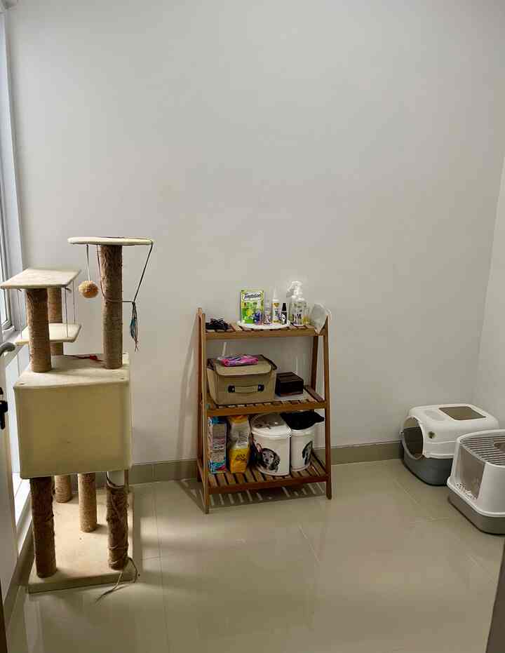 Bright white walled pet area featuring wood tone shelving, cat tower, and litter boxes in a clean indoor setting