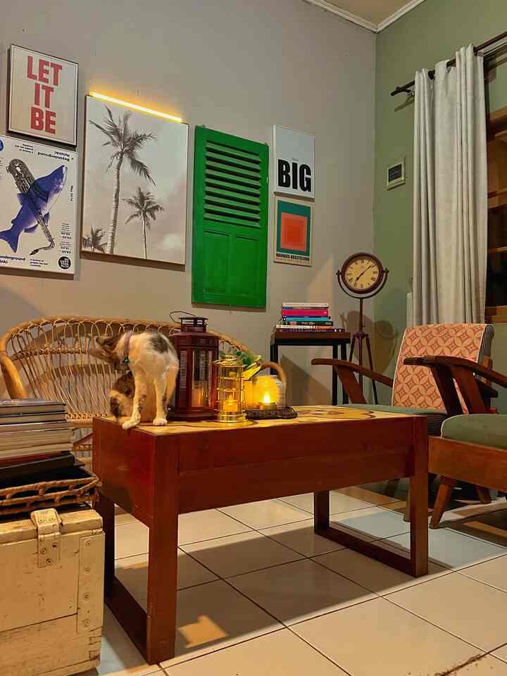 Natural tone living room featuring wooden furniture and a cat on the coffee table in a warm atmosphere