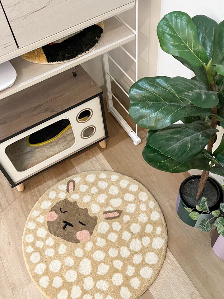 short form carousel card thumbnail