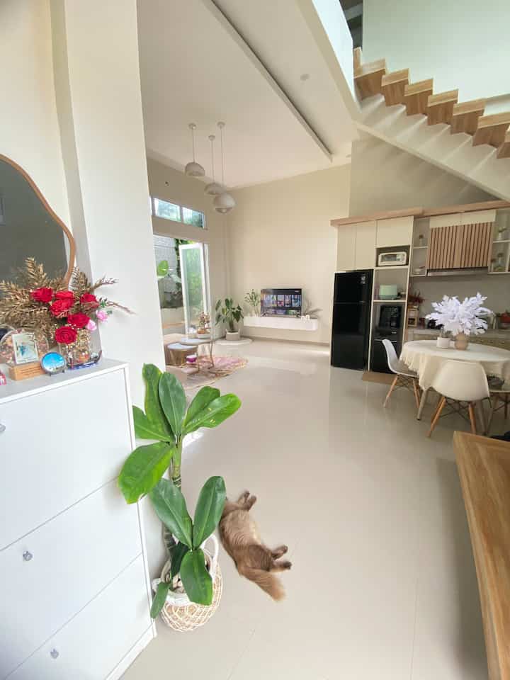Bright white and wood tone living-dining-kitchen space featuring large plants and a relaxed cat creating a cozy atmosphere