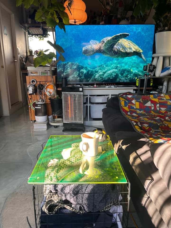 暖かい陽射しが差し込むリビング、黒いソファと白いテレビ台が配置された居心地の良い空間