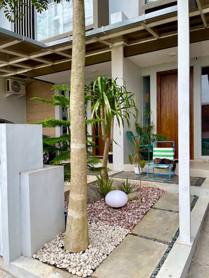 Renovasi Taman Fasad Tropis
.
Berawal dari Taman berumput hijau dan tanaman Calathea yg tinggi akhirnya beralih ke taman kering tropis. Alasannya karena pertumbuhan Calathea yg terlalu cepat tumbuh pohon baru dan sangat rimbun. Sehingga perawatan harus extra, belum lagi tanaman ekor kuda yg semula muncul bunga berbulu sudah lama tidak tumbuh lagi hanya menyisakan rumput alang tinggi membuat taman terilhat kurang rapi.
.
Suatu hari kami ke salah 1 Slow bar coffee di Jogja menemukan inspirasi taman yg kami suka, yaitu taman kering tropis dengan bebatuan coral merah, ada pohon Pandan Bali, Dracaena, Bromelia dan hiasan batu kali besar & batu fosil. Looksnya cantik sekali lebih simple dan berkarakter.  Apalagi taman kita tdk terlalu besar, pemilihan pohon pandan bali & Dracaena ini terbilang paling tepat dr segi perawatannya, hanya memotong batang yg sudah tinggi saja agar muncul cabang-cabang baru.
.
Gimana menurut teman-teman lebih suka yg mana? Taman yg sekarang atau sebelumnya?
Semoga bermanfaat ya 🫶🥰
#TamanFasad #TamanKeringTropis #PandanBali #Dracaena #BatuCoralMerah #LampuTamanOutdoor #LampuSorotTaman #KursiOurdoor #KursiSantai #Nightlighting 