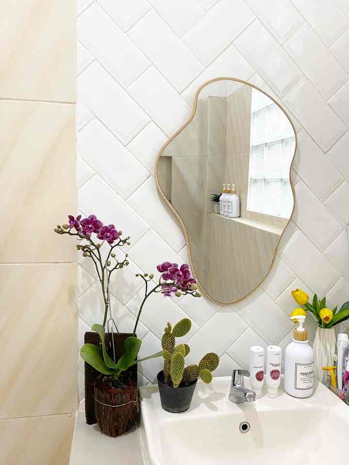 White and beige toned bathroom featuring an irregular-shaped mirror and plants creating a clean washbasin area