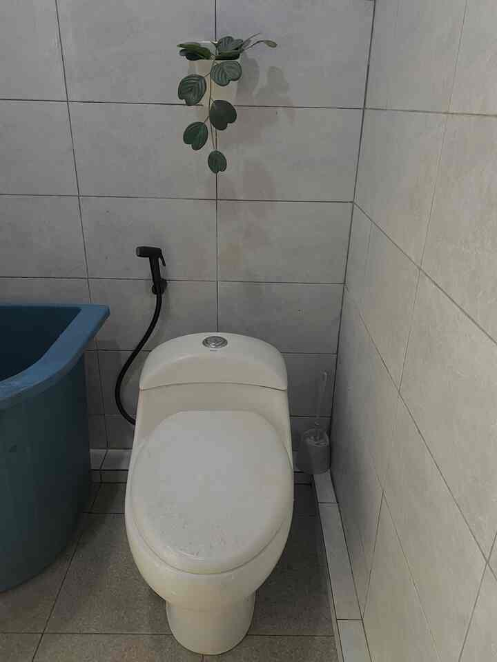 Compact restroom with gray tiled walls and floor, white toilet centered, black bidet shower to the left, and hanging green plant above