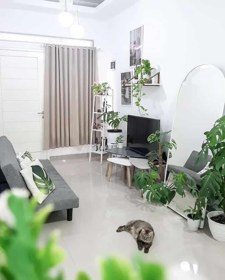 Estetik ga perlu mahal dengan material ramah kantong ini ✅
——
1. R. TV
Pakai cat dengan merk berkualitas, seperti jotun. Jadi tahan lama, looksnya clean, dan awet ga perlu reapply dalam waktu dekat

2. R. Tamu 
Pasang wallpanel buat jadi point of view. Selain itu, bikin ruangan terkesan lebih tinggi

3. Dapur
Ternyata granit standar 60x60 glossy ini jika diaplikasikan ke backsplash dan lantai, akan membuat kesan menyatu dan ruangan terasa lebih lapang loh! Ekonomis dan estetik!

4. Kamar
Pasang vinyl bener-bener bikin suasana kamar lebih warm loh! Kalau mau hemat budget, bisa pilih yang tipe 2mm aja kayak aku gini, tapi better langsung dipasang di lantai acian ya

#RumahMinimalis #GranitGlossy #WallPanel #LantaiRumah #MaterialRenovasi #MaterialMurah #RenovasiAffordable