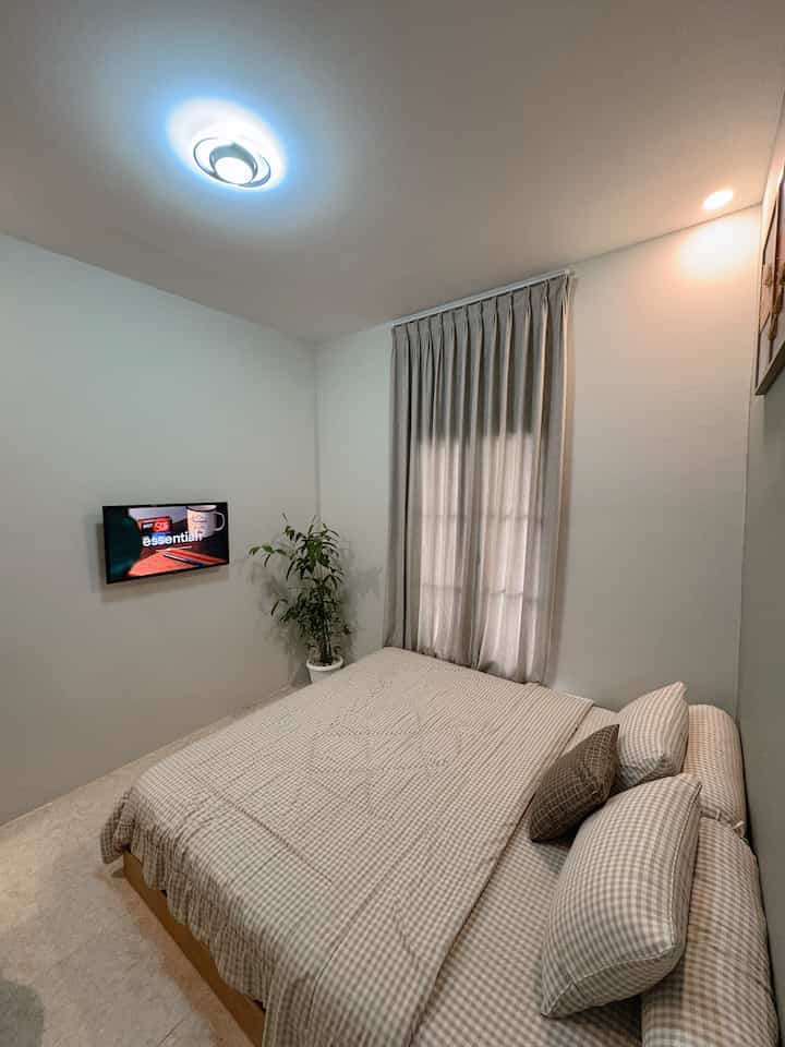 Light gray and white bedroom featuring a large bed, curtains, and a plant with a warm, clean atmosphere