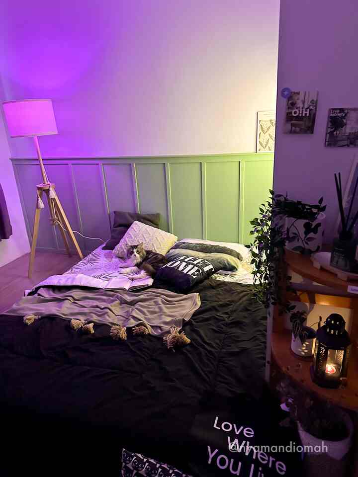 Purple-lit bedroom featuring a centrally placed bed with a cat, floor lamp, and plants creating a cozy atmosphere