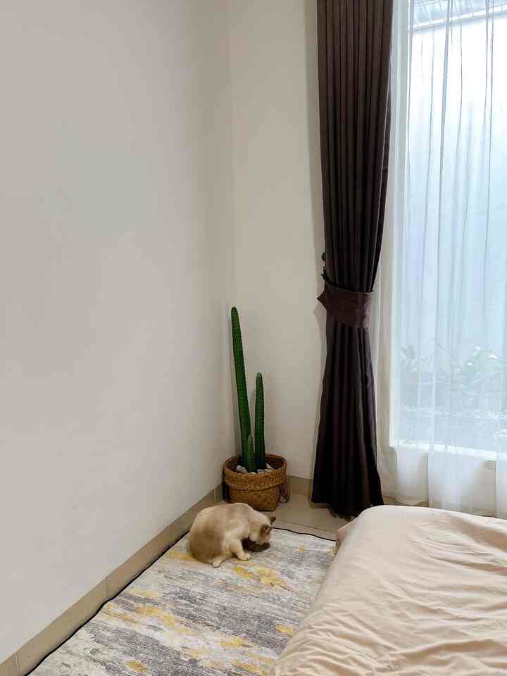 Natural-toned living room with beige bedding, white walls, brown curtains, and a cat sitting on a patterned carpeted floor