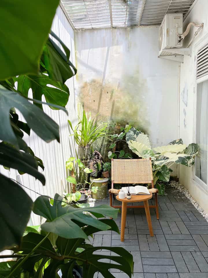 🌿 Innercourt yang berfungsi sebagai ruang santai dan ruang hobi 🪴🍀🍃

Decking dark grey aku pilih dari bahan sampah plastik rendah nilai. Disini aku menanam beberapa tanaman seperti monstera variegata, sente variegata, anggrek hutan dll

Di tempat ini aku bisa menghabiskan waktu untuk sekedar membaca ataupun bersantai bersama suami tercinta 🤎

#innercourt
#innergarden
#tamanmungil 
#ruangsantai
#ruanghobi
#tanaman
