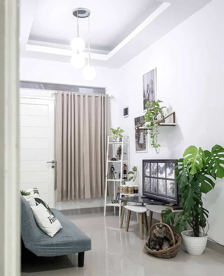 Bright living room in white and beige tones featuring monotone sofa and various plants creating a cozy and spacious atmosphere