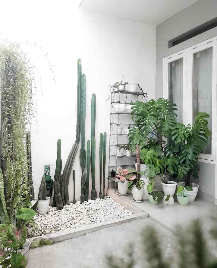 Mini Garden at Home 🌿

Dari awal memutuskan membangun rumah di lahan mungil 5x12 ini, aku memastikan adanya taman! Akhirnya terbangunlah taman dengan luas 1x3 ini. Konsepnya Taman Kering dengan tanaman didominasi kaktus. Konsep taman seperti ini sangat cocok untuk rumah minimalis dan juga less maintenance!

#Taman #Garden #DryGarden #Frontyard #TamanMungil #TamanMinimalis #RumahMinimalis